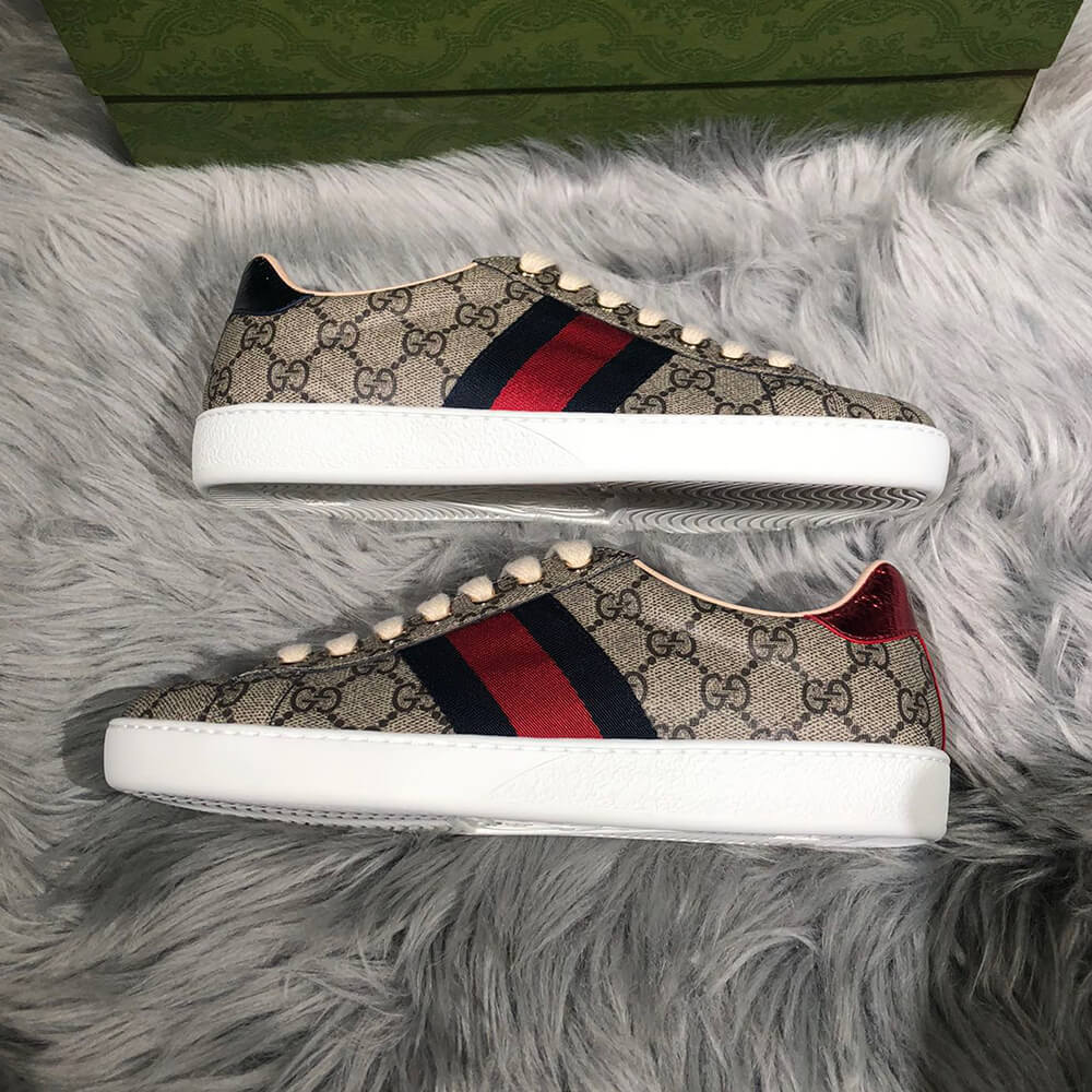 ace gg S*p*e sneaker with bees
