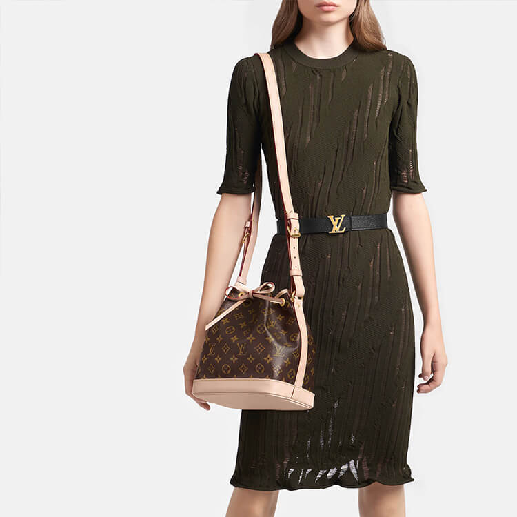 LV Noe BB Handbag
