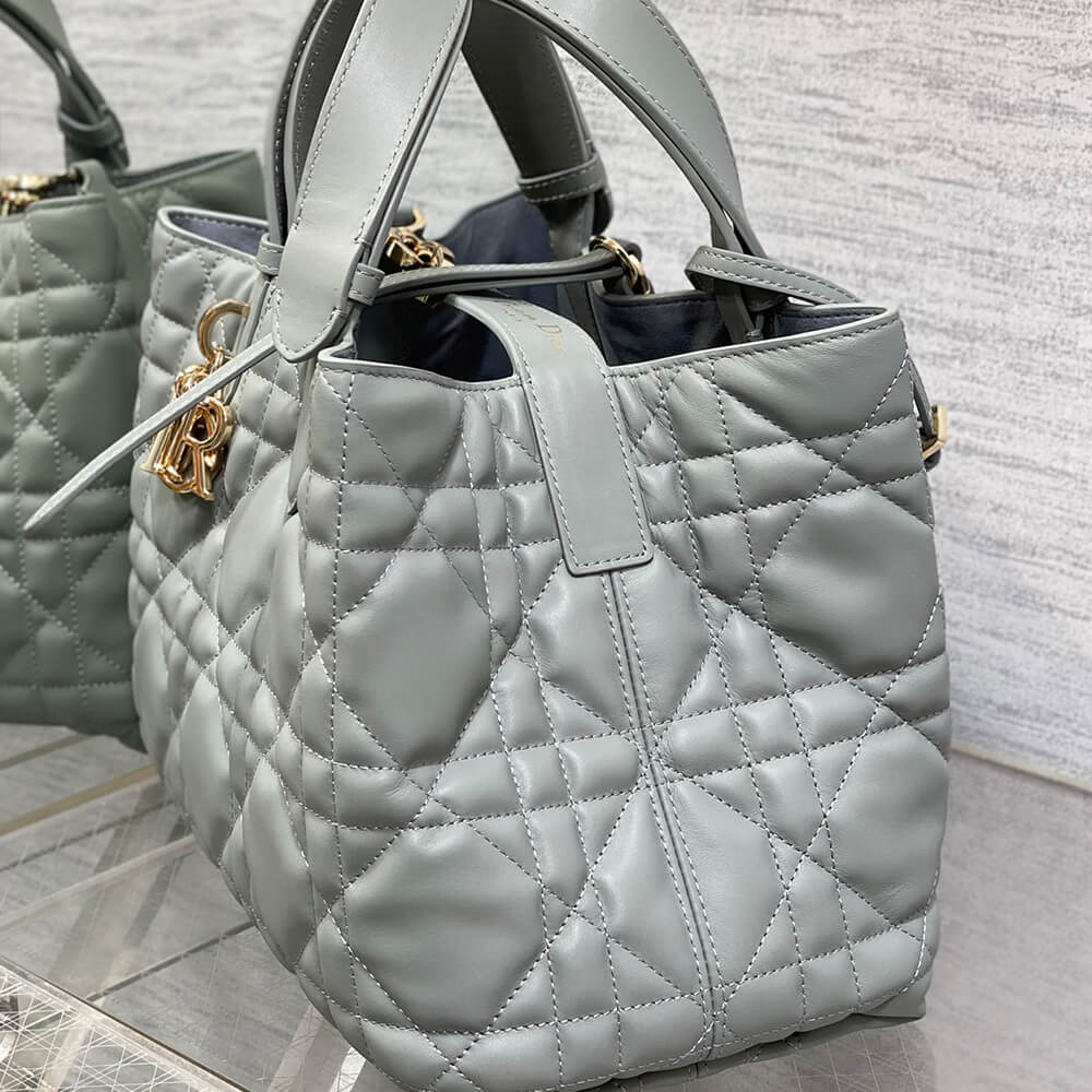 medium D*or toujours bag